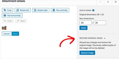 How To Resize And Edit Images In WordPress (The Right Way)