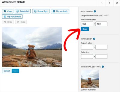 wordpress resize images for mobile