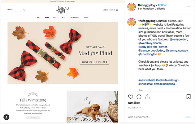 The Foggy Dog new website announcement on Instagram