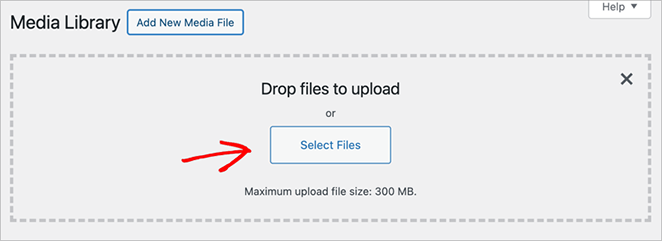 Add New Media File in WordPress