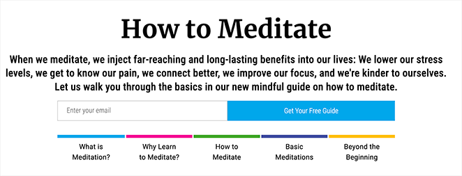 Mindful Squeeze Page Example