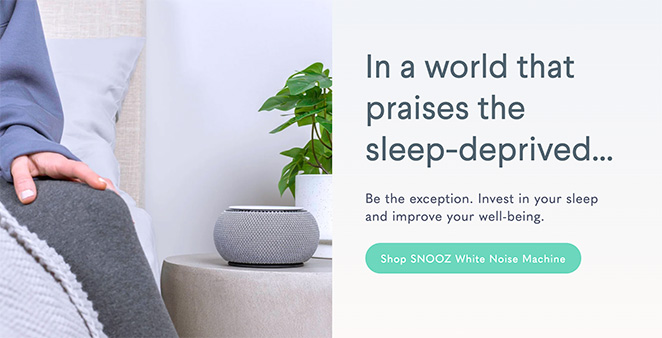 Snooz one product store example