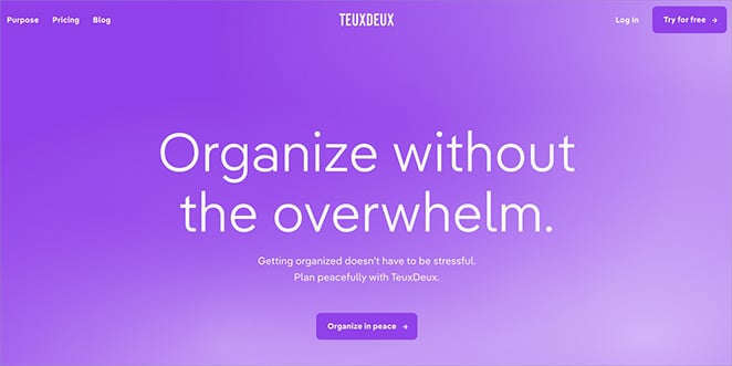 Teux Deux business website homepage example