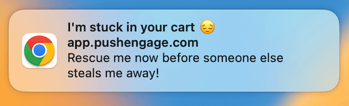 Example of an abandoned cart notification